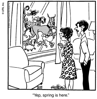marmaduke